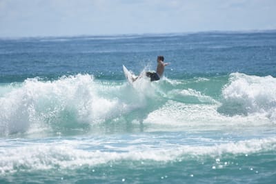 DSC_7132.JPG