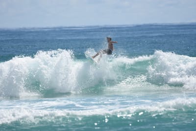 DSC_7133.JPG