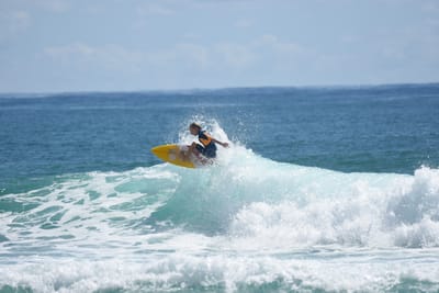 DSC_7135 - Copy.JPG
