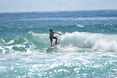 DSC_7165.JPG