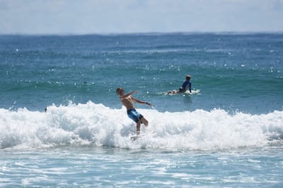 DSC_7175.JPG
