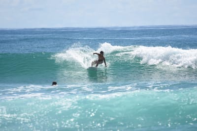 DSC_7184.JPG