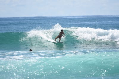 DSC_7185.JPG