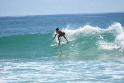 DSC_7198.JPG