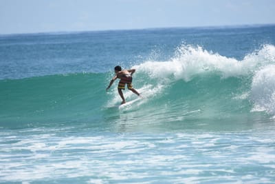 DSC_7199.JPG