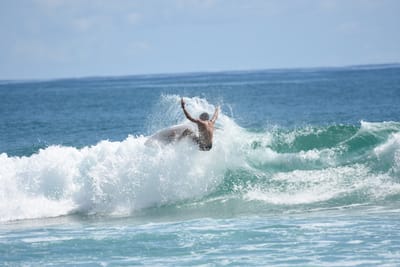 DSC_7202.JPG