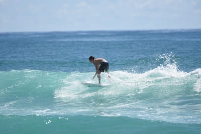 DSC_7209.JPG