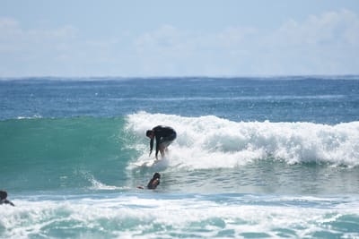 DSC_7210.JPG