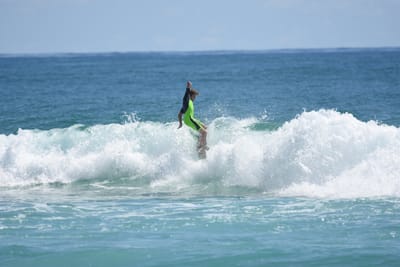 DSC_7214.JPG