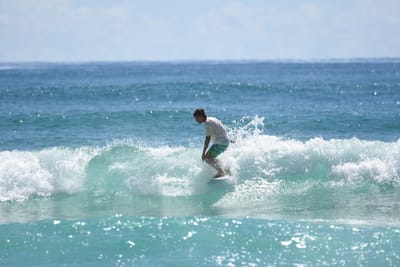 DSC_7219.JPG