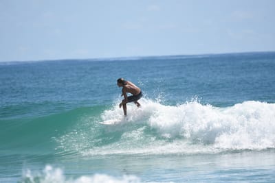 DSC_7225.JPG