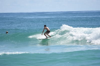 DSC_7236.JPG