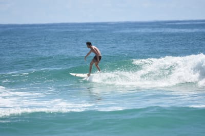 DSC_7237.JPG