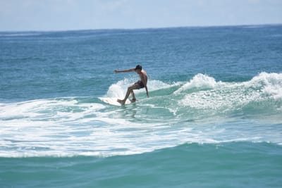 DSC_7239.JPG