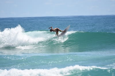 DSC_7250.JPG