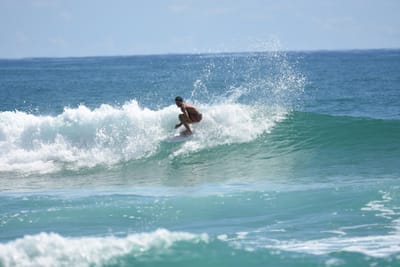 DSC_7254.JPG