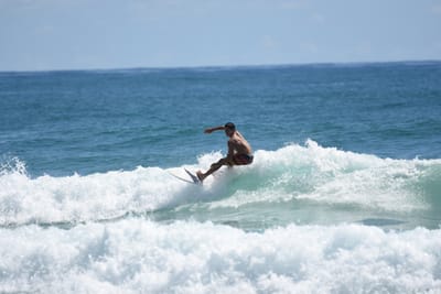 DSC_7263.JPG
