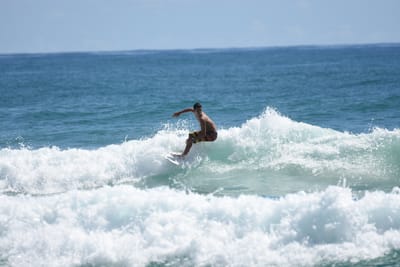 DSC_7264.JPG