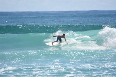 DSC_7271.JPG