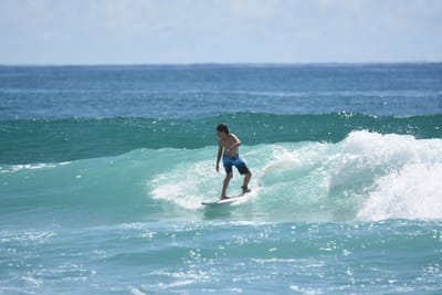 DSC_7275.JPG