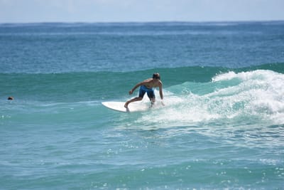 DSC_7276.JPG