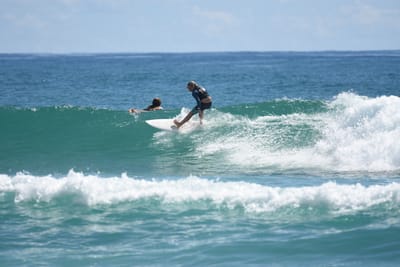 DSC_7280.JPG