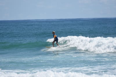 DSC_7290.JPG