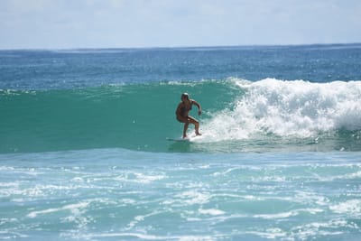 DSC_7293.JPG