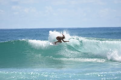 DSC_7297.JPG