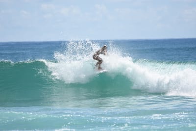 DSC_7299.JPG