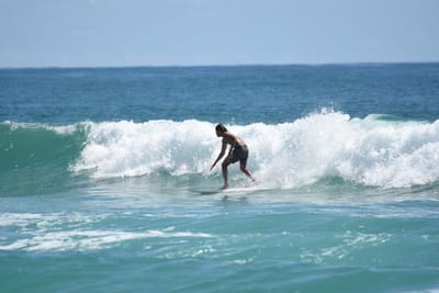 DSC_7302.JPG