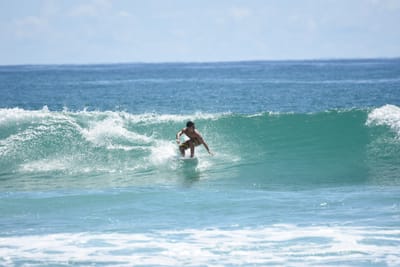 DSC_7330.JPG
