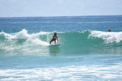 DSC_7331.JPG