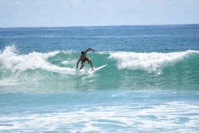 DSC_7332.JPG