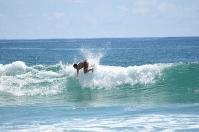 DSC_7333.JPG