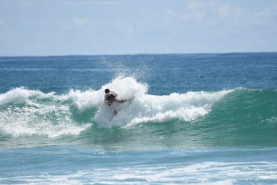 DSC_7334.JPG