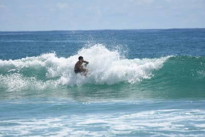 DSC_7335.JPG