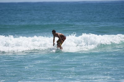DSC_7337.JPG