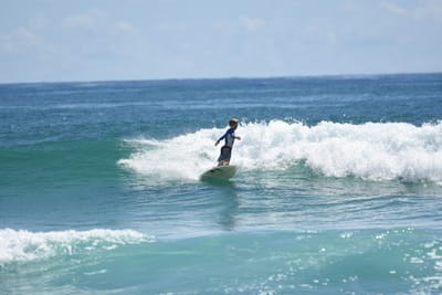 DSC_7340.JPG