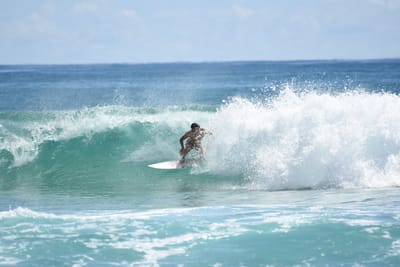 DSC_7351.JPG