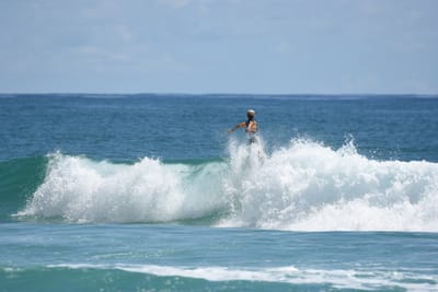 DSC_7353.JPG