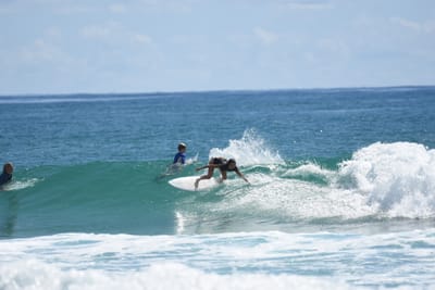 DSC_7354.JPG