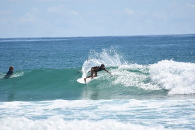 DSC_7355.JPG