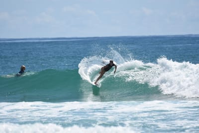 DSC_7356.JPG