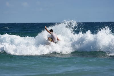 DSC_7488.JPG