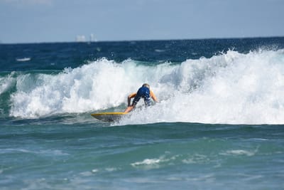 DSC_7507.JPG