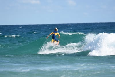 DSC_7529.JPG