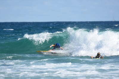 DSC_7536.JPG