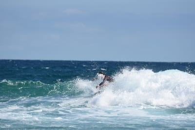 DSC_7645.JPG