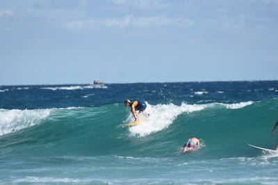 DSC_7654.JPG